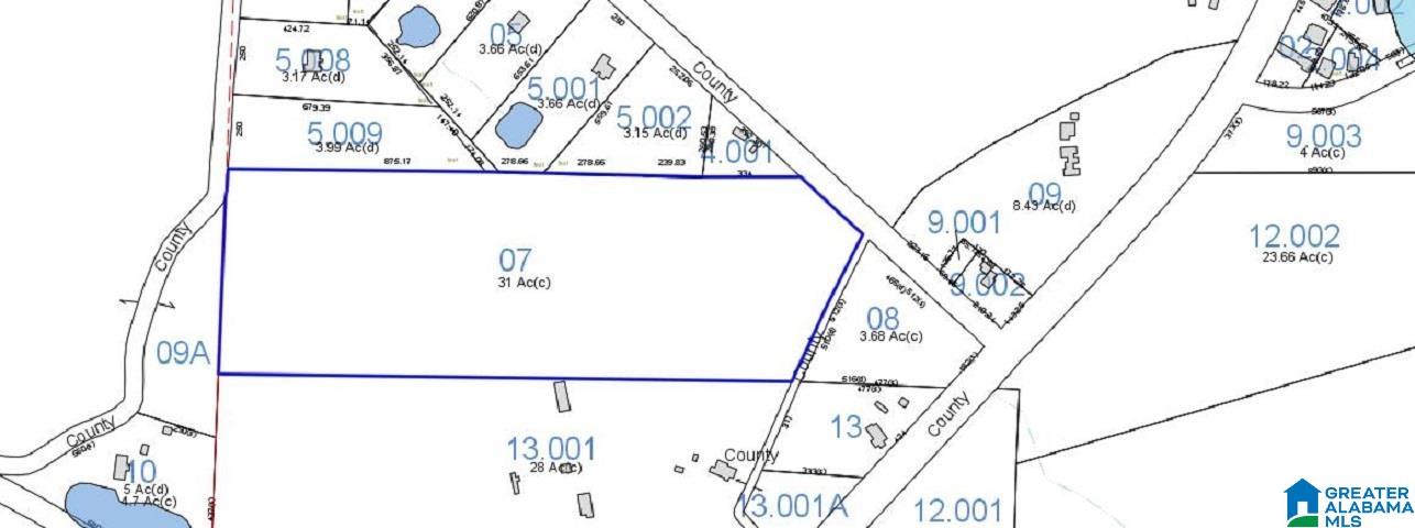 31-acres County Road 36 Heflin, AL 36264 - Photo 2 of 6