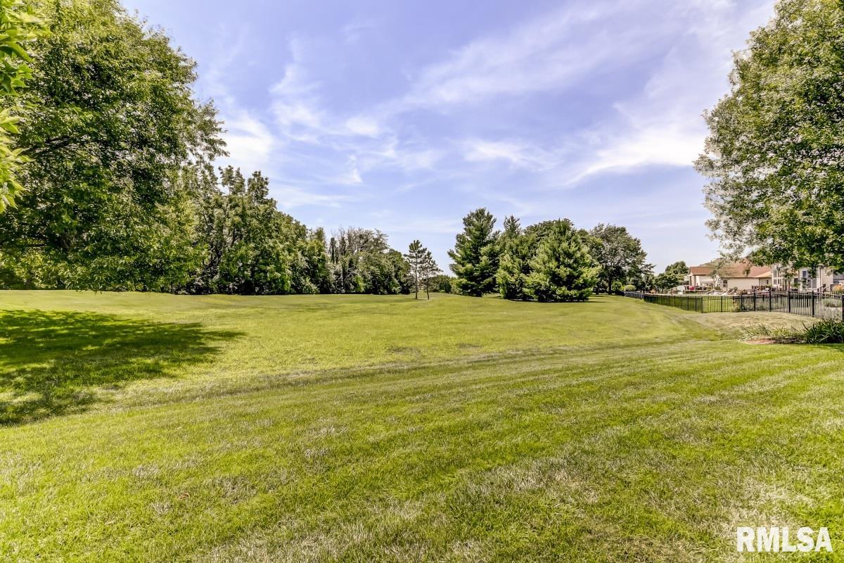 2512 Tartan Way Springfield, IL 62711 - Photo 3 of 38