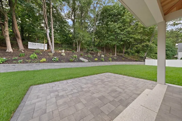 a view of a park with large trees
