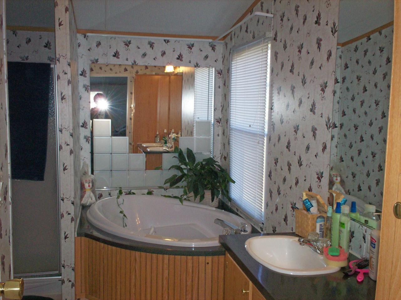 1775 Harmony School Road Hardy, VA 24101 - Photo 7 of 8 a bathroom with a sink and a mirror