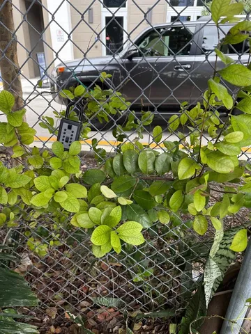 $1,750 | 8101 Southwest 72nd Avenue, Unit 214W, Miami, FL 33143