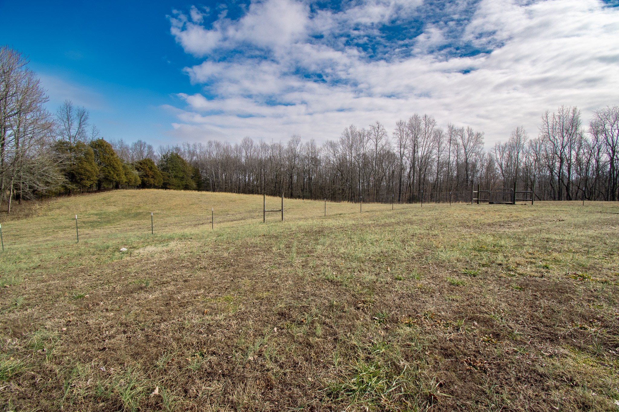 6490 Prospect Road Prospect, TN 38477 - Photo 12 of 52 a view of an outdoor space and a yard