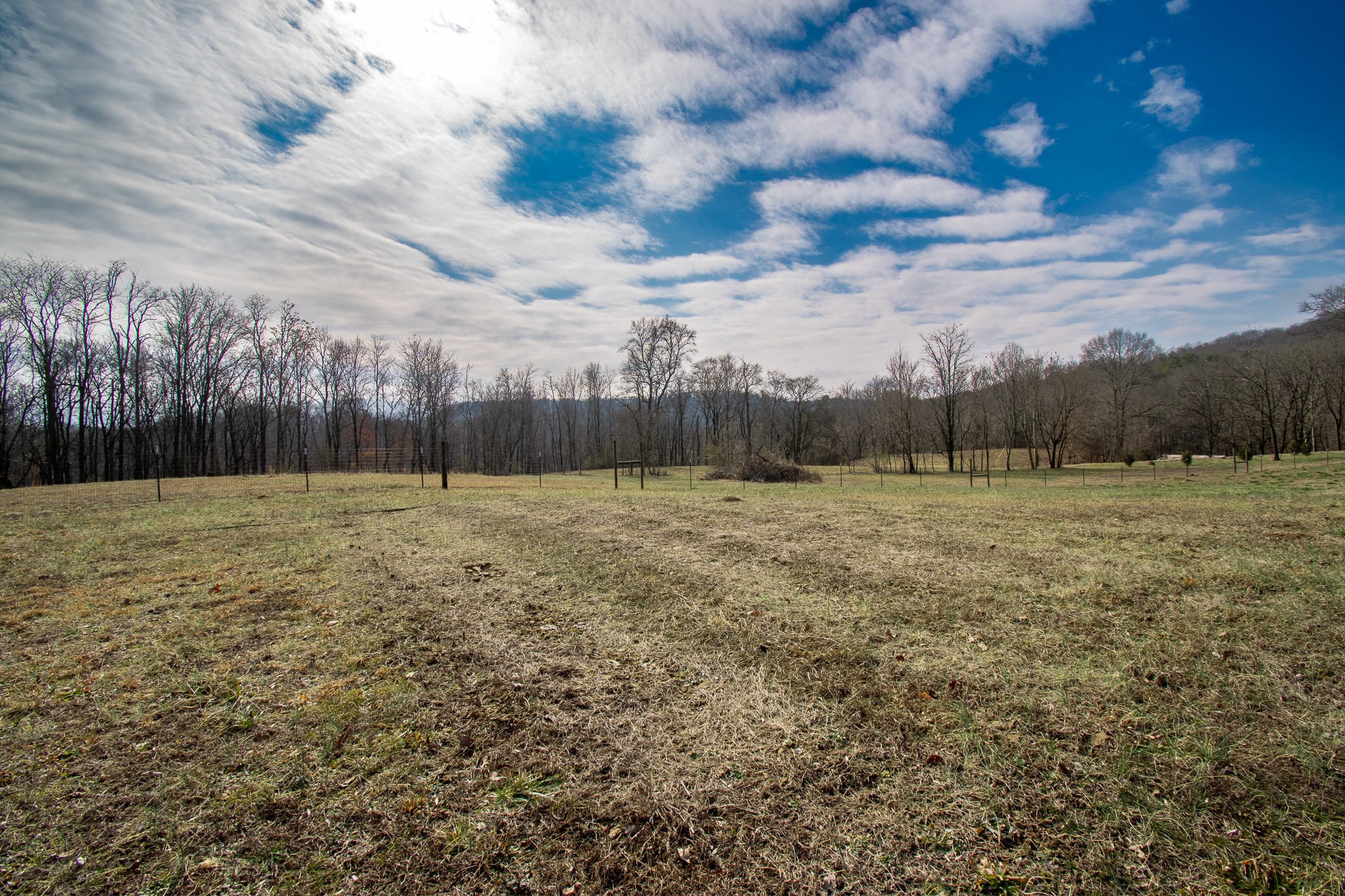 6490 Prospect Road Prospect, TN 38477 - Photo 13 of 52 a view of a backyard