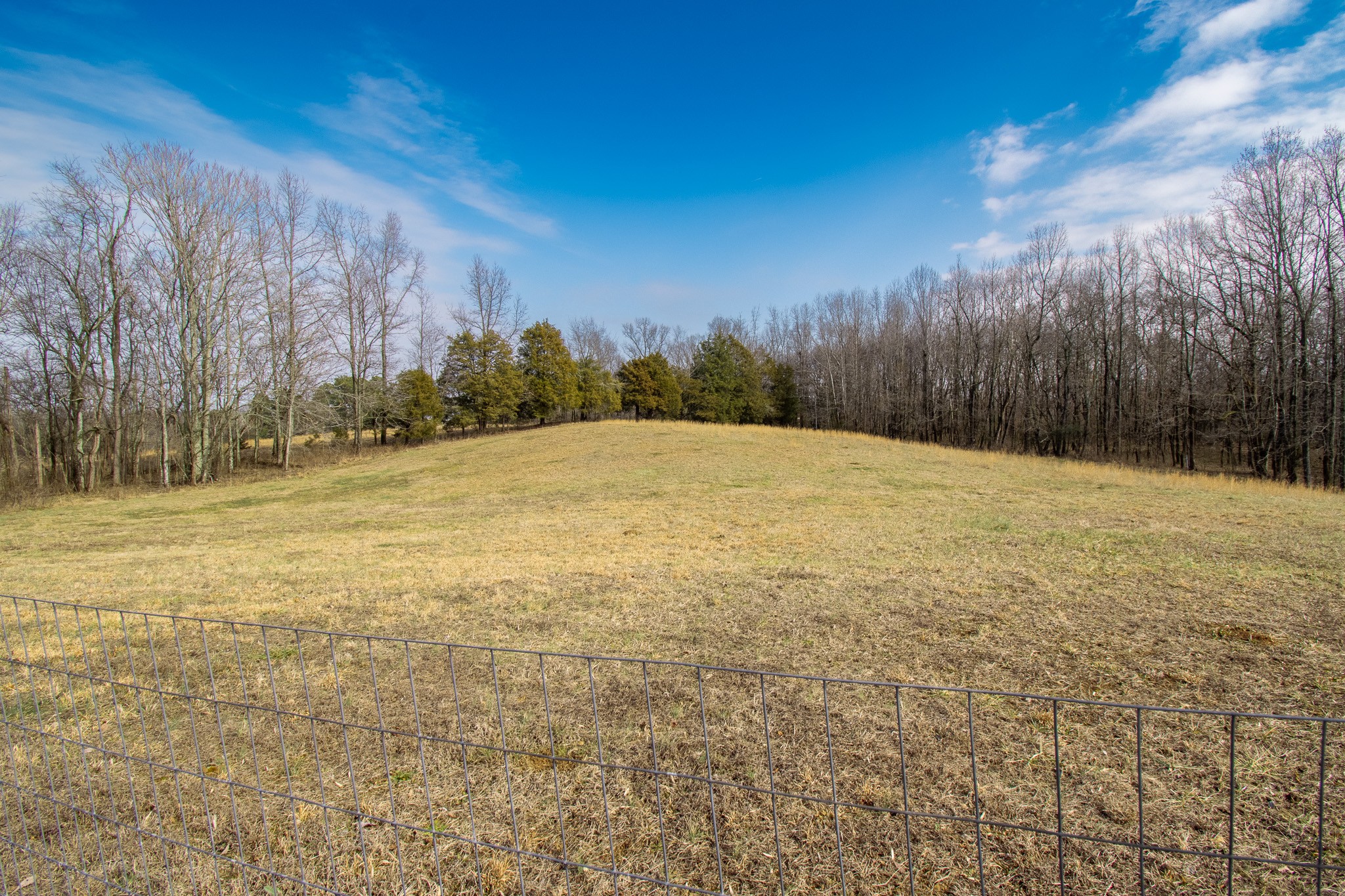 6490 Prospect Road Prospect, TN 38477 - Photo 14 of 52 a view of an outdoor space and a yard