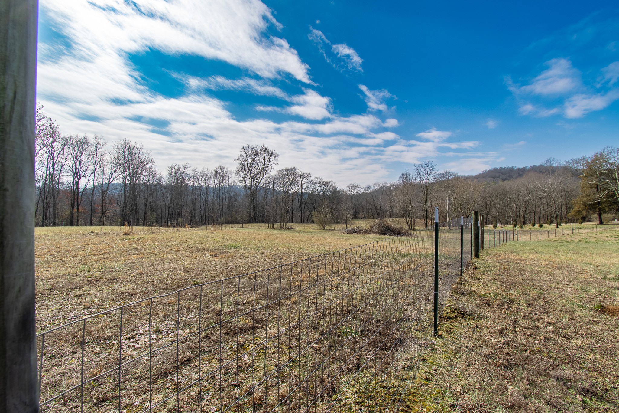 6490 Prospect Road Prospect, TN 38477 - Photo 15 of 52 a view of a backyard
