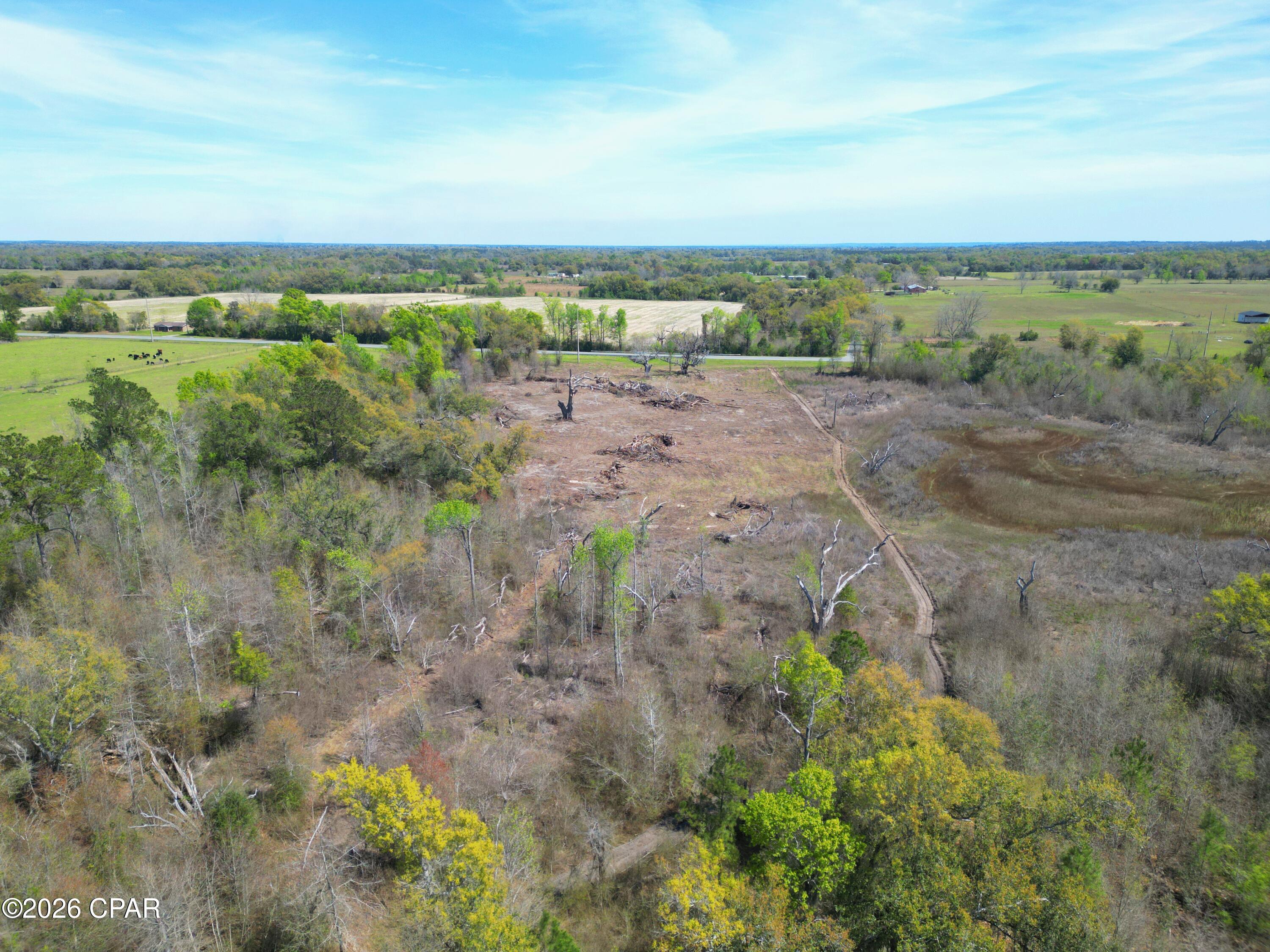 69 Grand Ridge Grand Ridge, FL 32442 - Photo 7 of 10