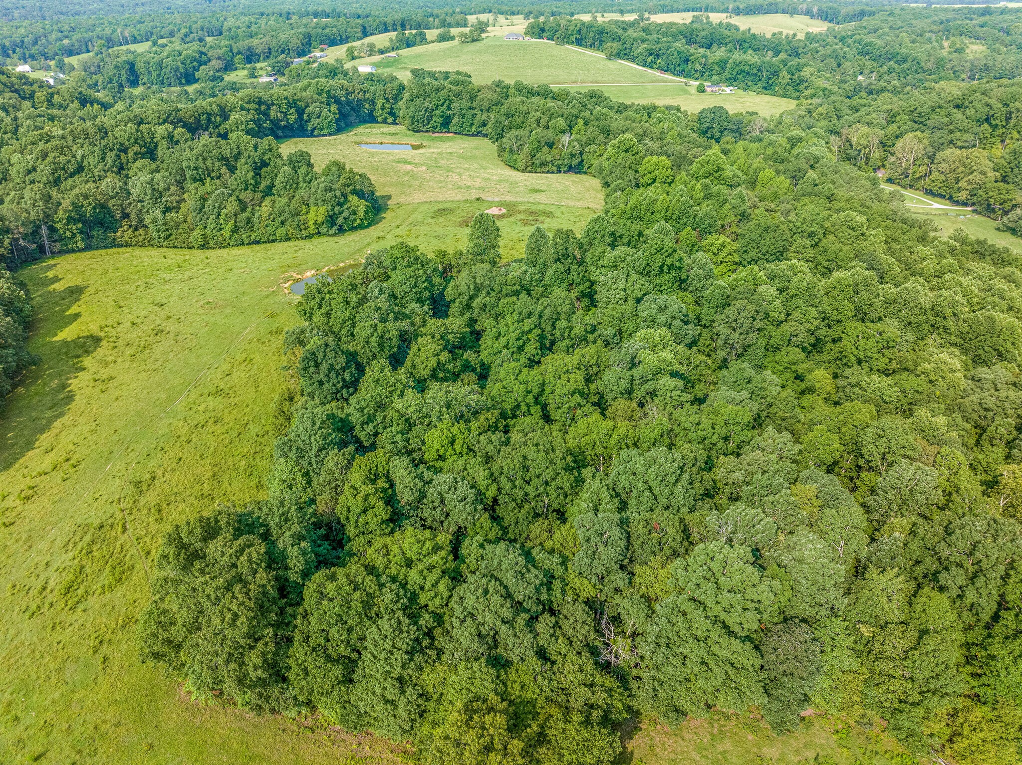 1 Grindstone Hollow Road Dickson, TN 37055 - Photo 6 of 8 a view of a big yard with large trees
