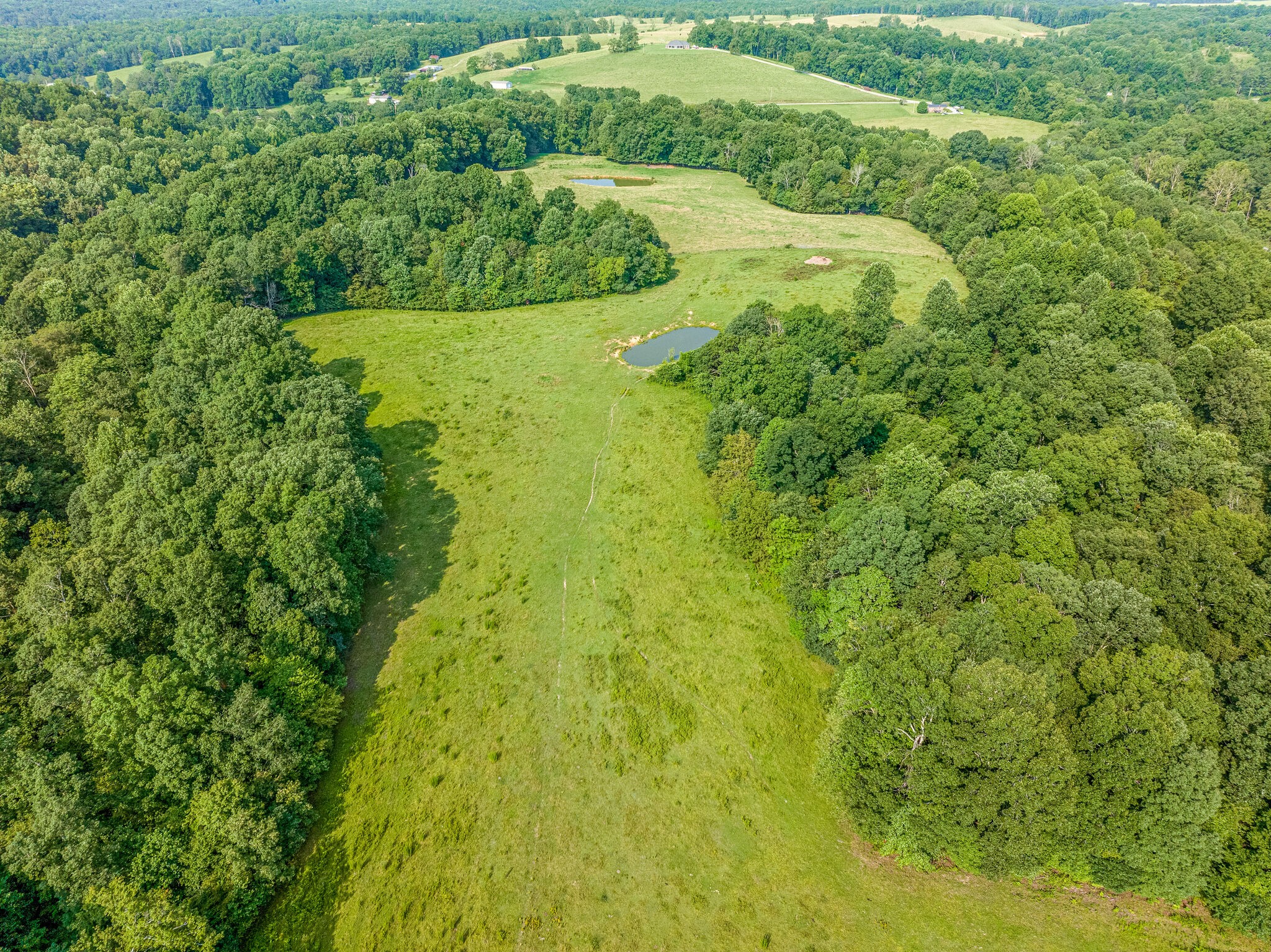 1 Grindstone Hollow Road Dickson, TN 37055 - Photo 7 of 8 a view of a garden
