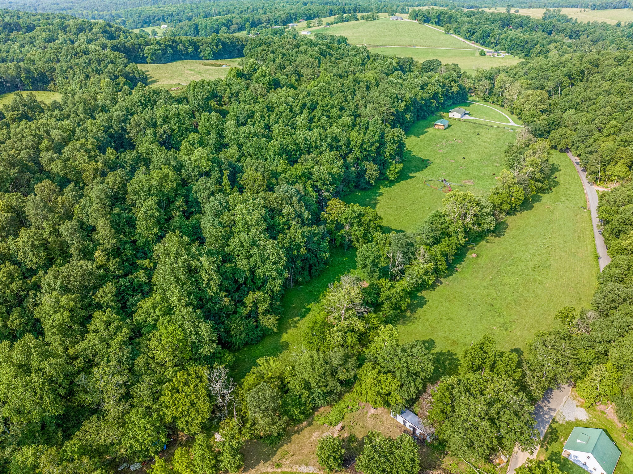 1 Grindstone Hollow Road Dickson, TN 37055 - Photo 8 of 8 a view of a garden with a lake