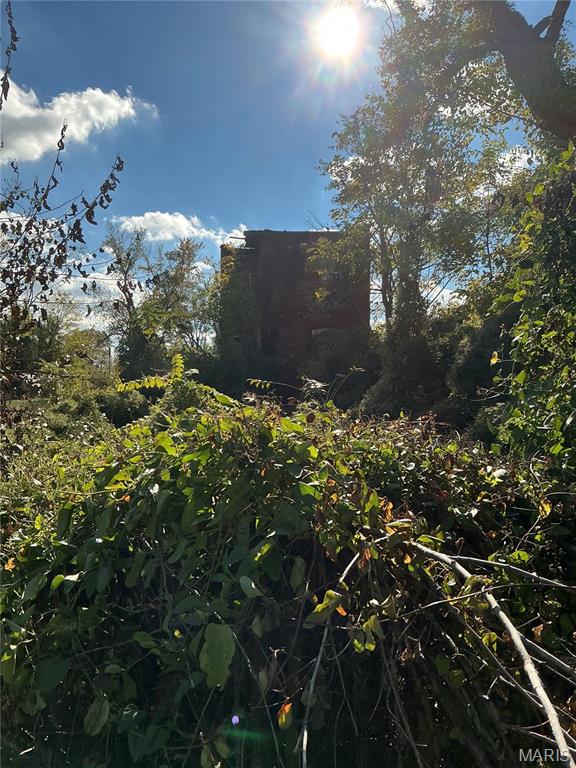 4411 St Ferdinand Avenue St. Louis, MO 63113 - Photo 9 of 16