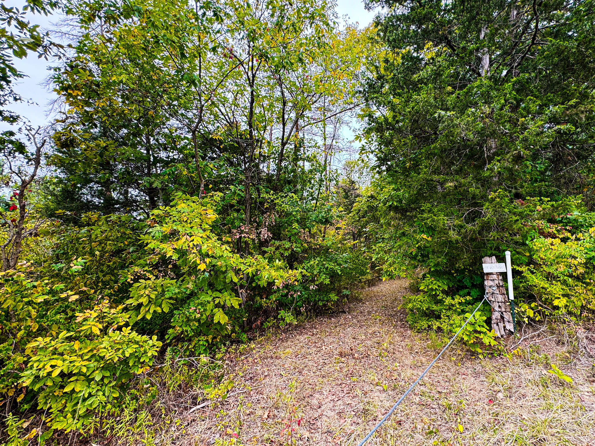 0 Claxon Ridge Road Owenton, KY 40359 - Photo 6 of 11 Gallery Image 6