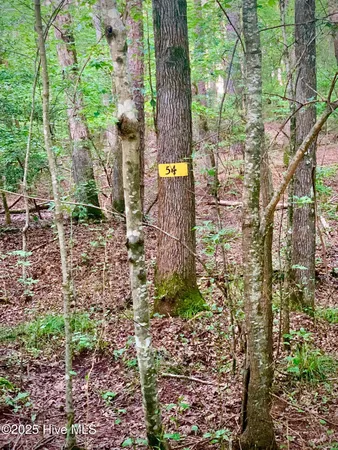 $27,000 | 54 Palomino Road, Carthage, NC 28327
