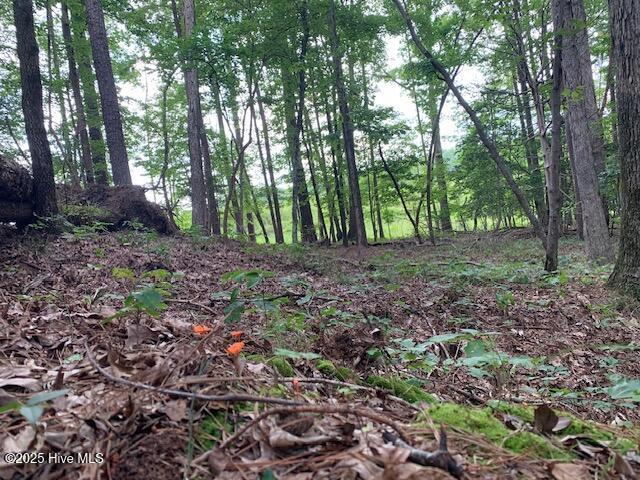 54 Palomino Road Carthage, NC 28327 - Photo 12 of 20 IMG_6248