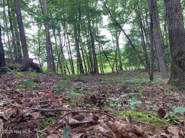 54 Palomino Road Carthage, NC 28327 - Photo 13 of 20 IMG_6249