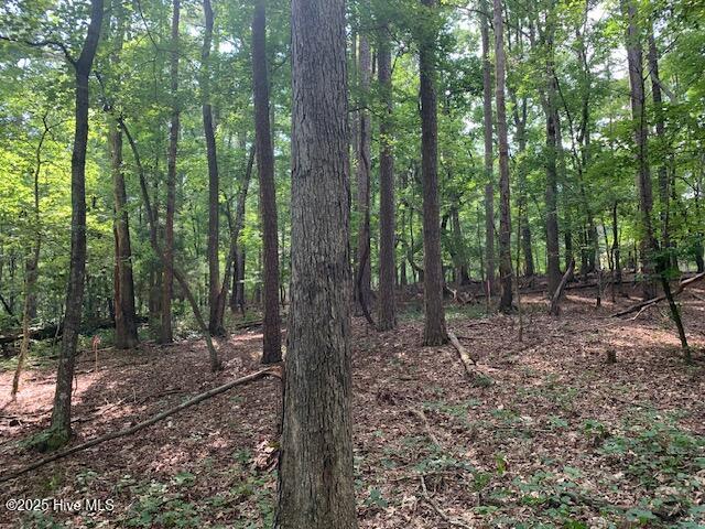 54 Palomino Road Carthage, NC 28327 - Photo 14 of 20 IMG_6252