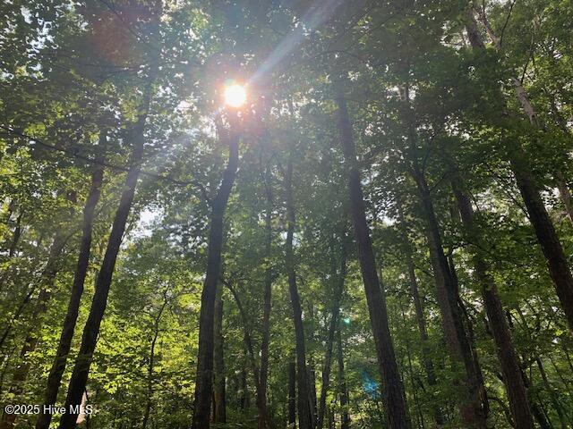 54 Palomino Road Carthage, NC 28327 - Photo 15 of 20 IMG_6253