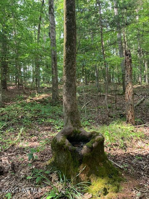 54 Palomino Road Carthage, NC 28327 - Photo 16 of 20 IMG_6256