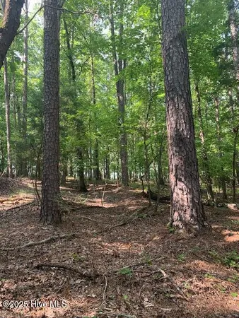 $27,000 | 54 Palomino Road, Carthage, NC 28327