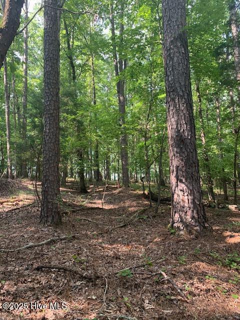 54 Palomino Road Carthage, NC 28327 - Photo 17 of 20 IMG_6261