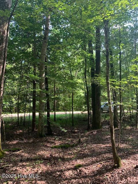 54 Palomino Road Carthage, NC 28327 - Photo 18 of 20 IMG_6266