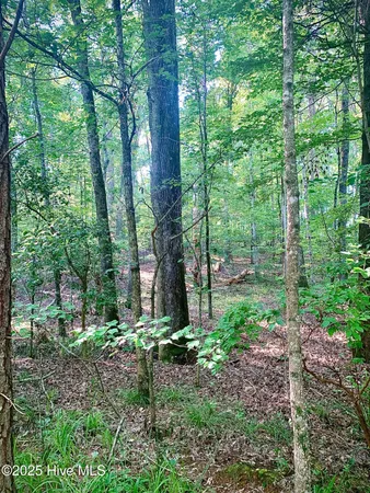 $27,000 | 54 Palomino Road, Carthage, NC 28327