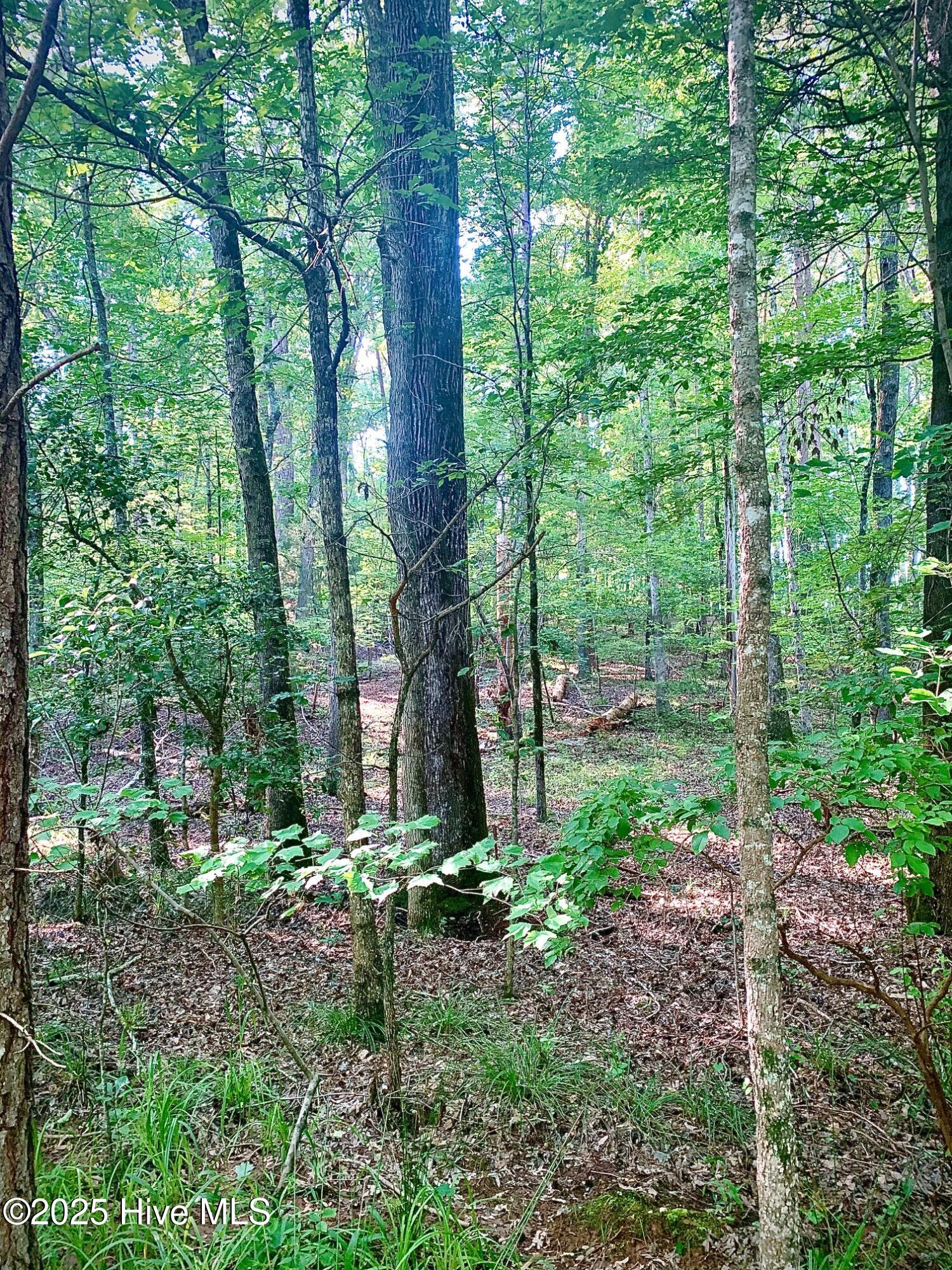 54 Palomino Road Carthage, NC 28327 - Photo 3 of 20 IMG_5504