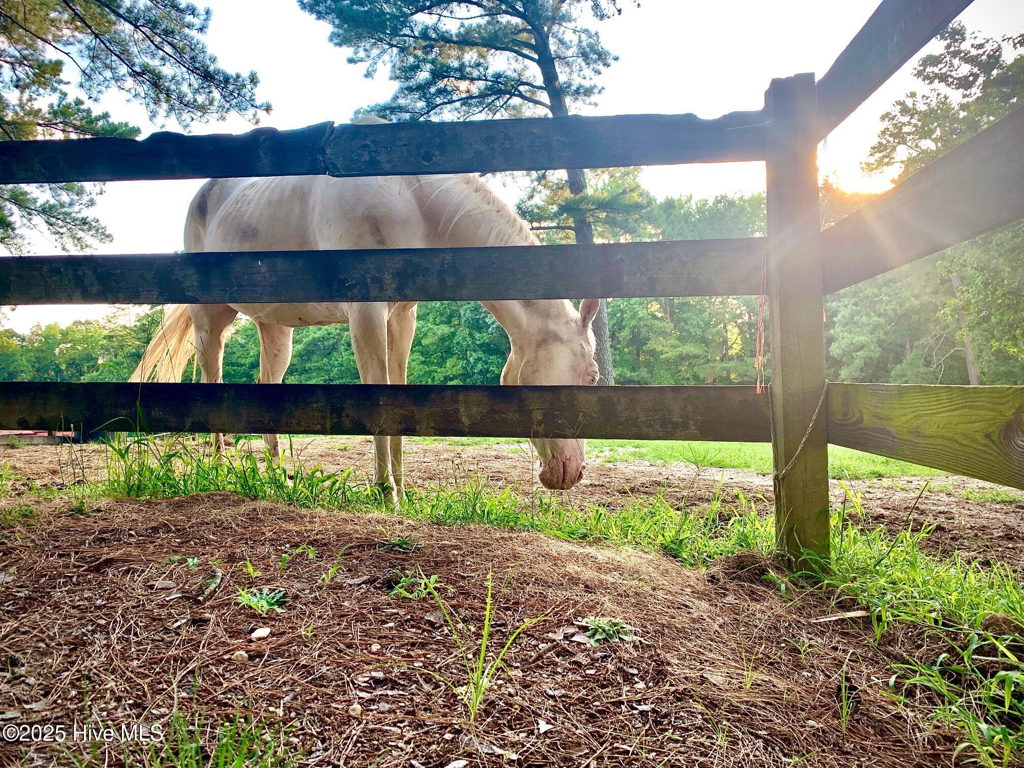 54 Palomino Road Carthage, NC 28327 - Photo 5 of 20 IMG_5876 (002)