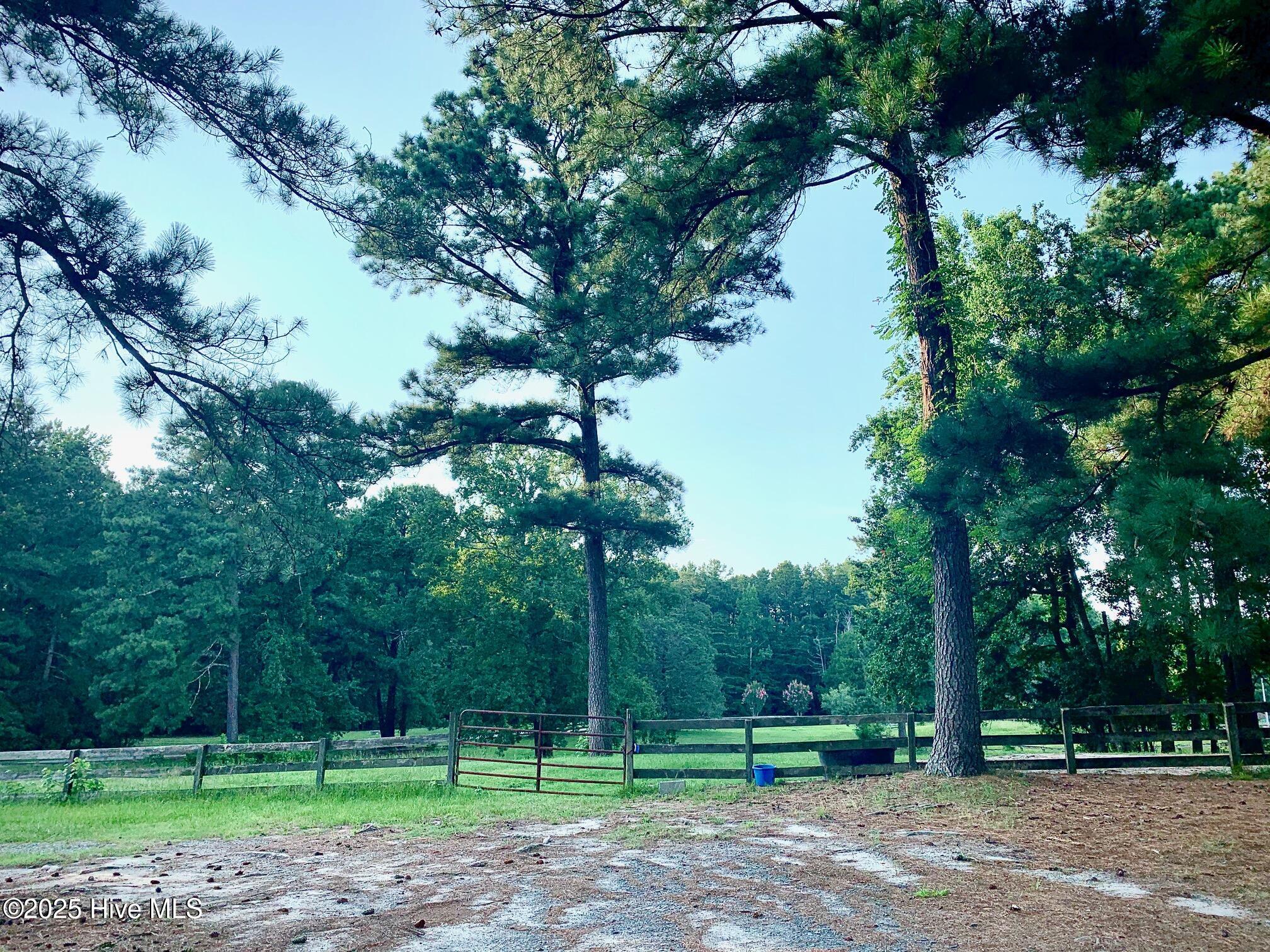 54 Palomino Road Carthage, NC 28327 - Photo 9 of 20 IMG_5880