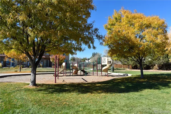 a view of a park with slide