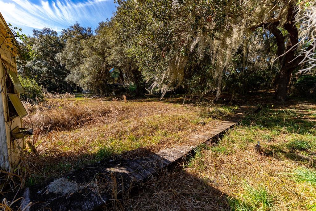 24971 Northeast 135th Street Salt Springs, FL 32134 - Photo 11 of 49 a view of a yard with trees