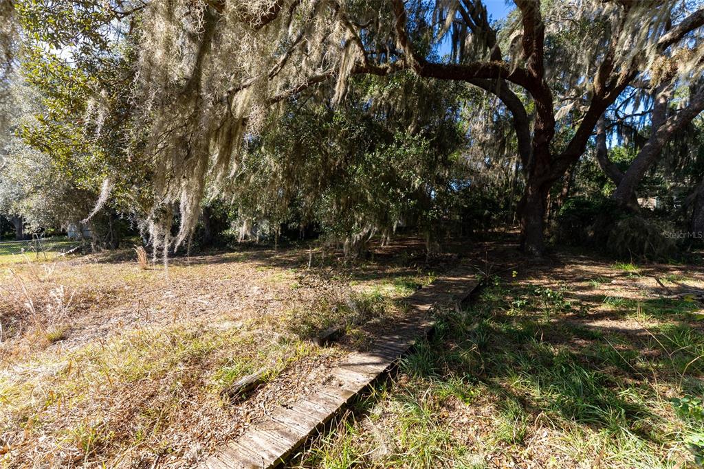 24971 Northeast 135th Street Salt Springs, FL 32134 - Photo 12 of 49 a view of outdoor space with trees