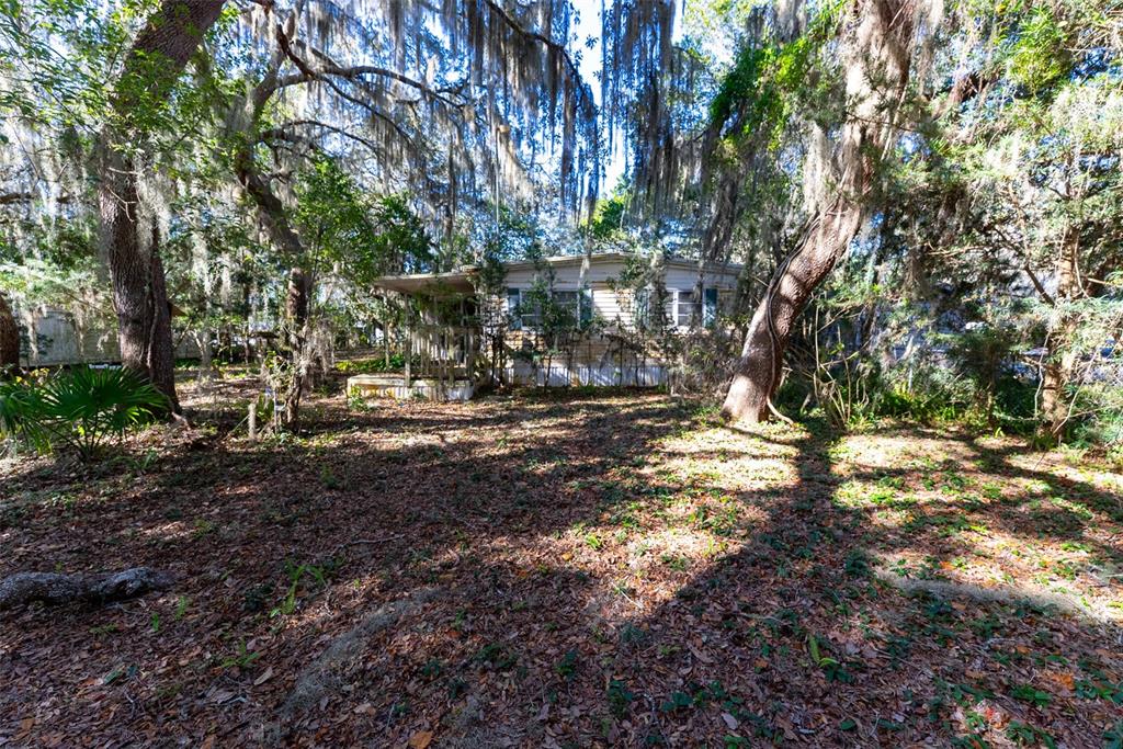 24971 Northeast 135th Street Salt Springs, FL 32134 - Photo 19 of 49 a backyard of a house with lots of green space