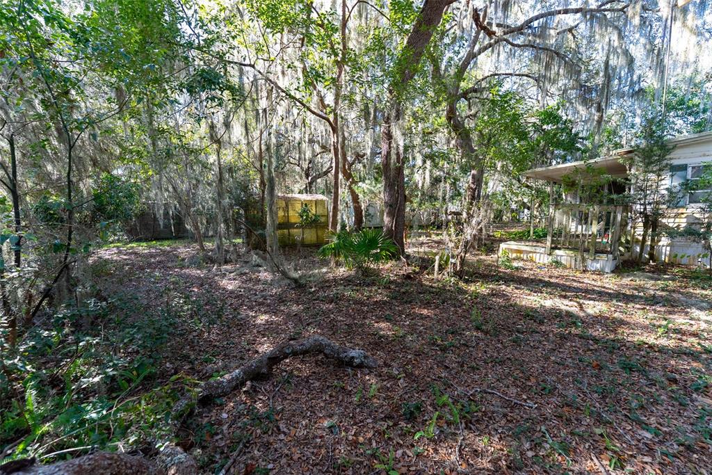 24971 Northeast 135th Street Salt Springs, FL 32134 - Photo 20 of 49 a view of outdoor space with lots of trees