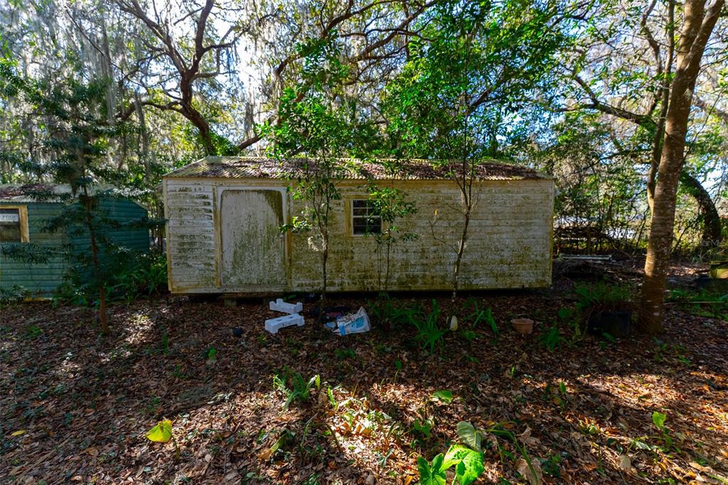 24971 Northeast 135th Street Salt Springs, FL 32134 - Photo 2 of 49 a view of a yard