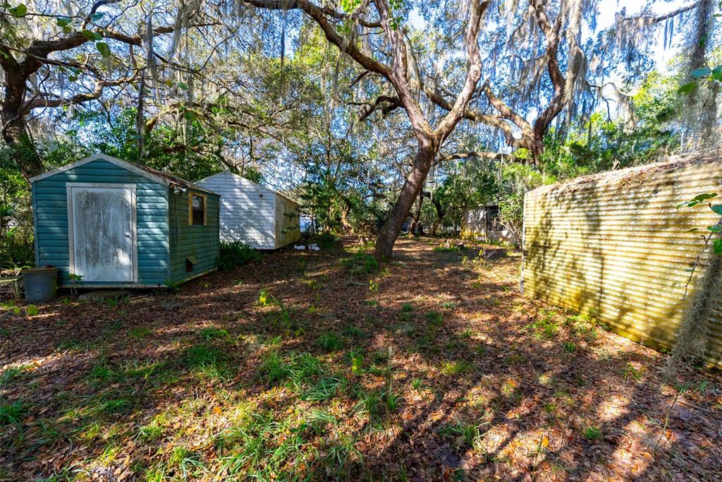 24971 Northeast 135th Street Salt Springs, FL 32134 - Photo 23 of 49 a view of a yard with plants and large trees