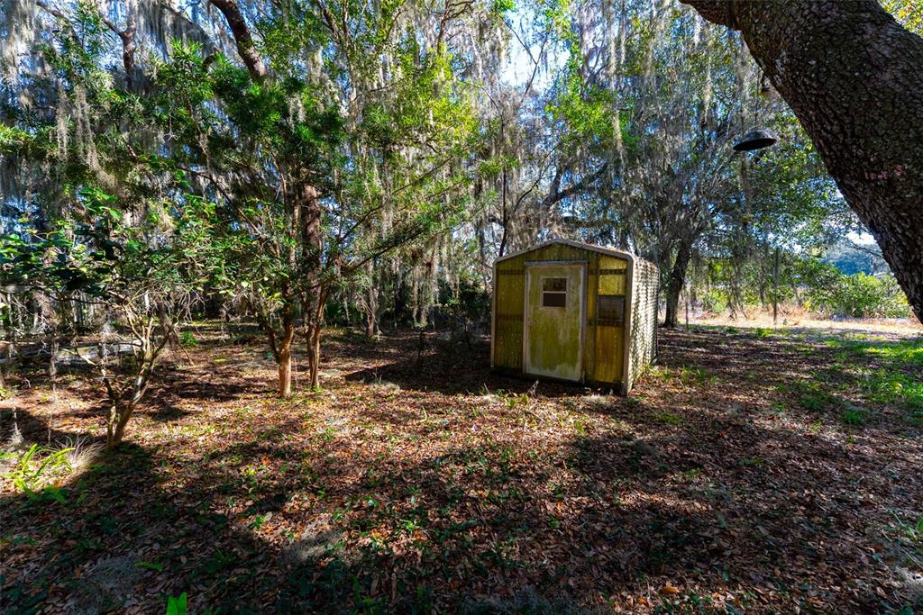 24971 Northeast 135th Street Salt Springs, FL 32134 - Photo 24 of 49 a backyard of a house with lots of green space