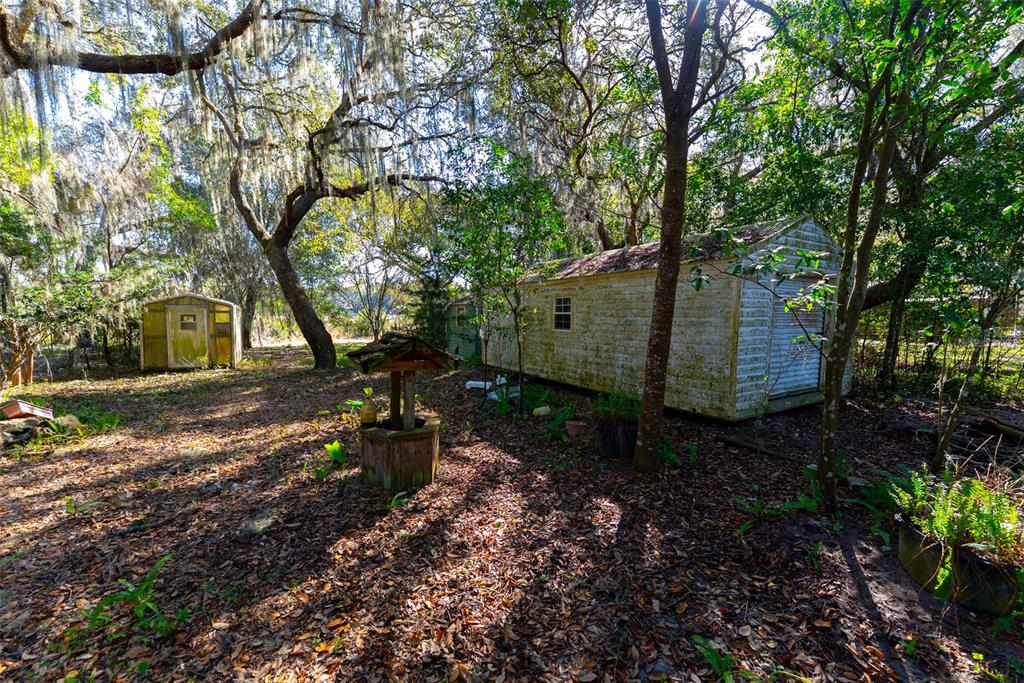 24971 Northeast 135th Street Salt Springs, FL 32134 - Photo 25 of 49 a view of a park with large trees