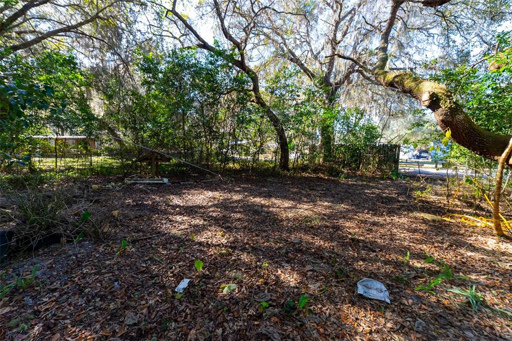 24971 Northeast 135th Street Salt Springs, FL 32134 - Photo 27 of 49 a view of a forest with trees
