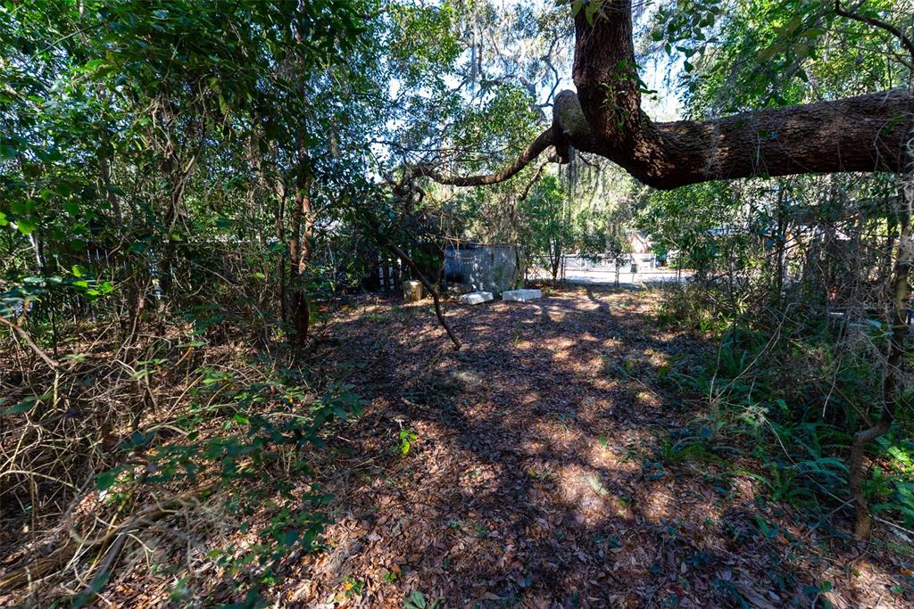 24971 Northeast 135th Street Salt Springs, FL 32134 - Photo 28 of 49 a backyard of a house with lots of green space