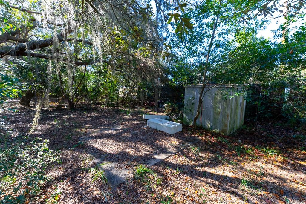 24971 Northeast 135th Street Salt Springs, FL 32134 - Photo 29 of 49 a view of a outdoor space