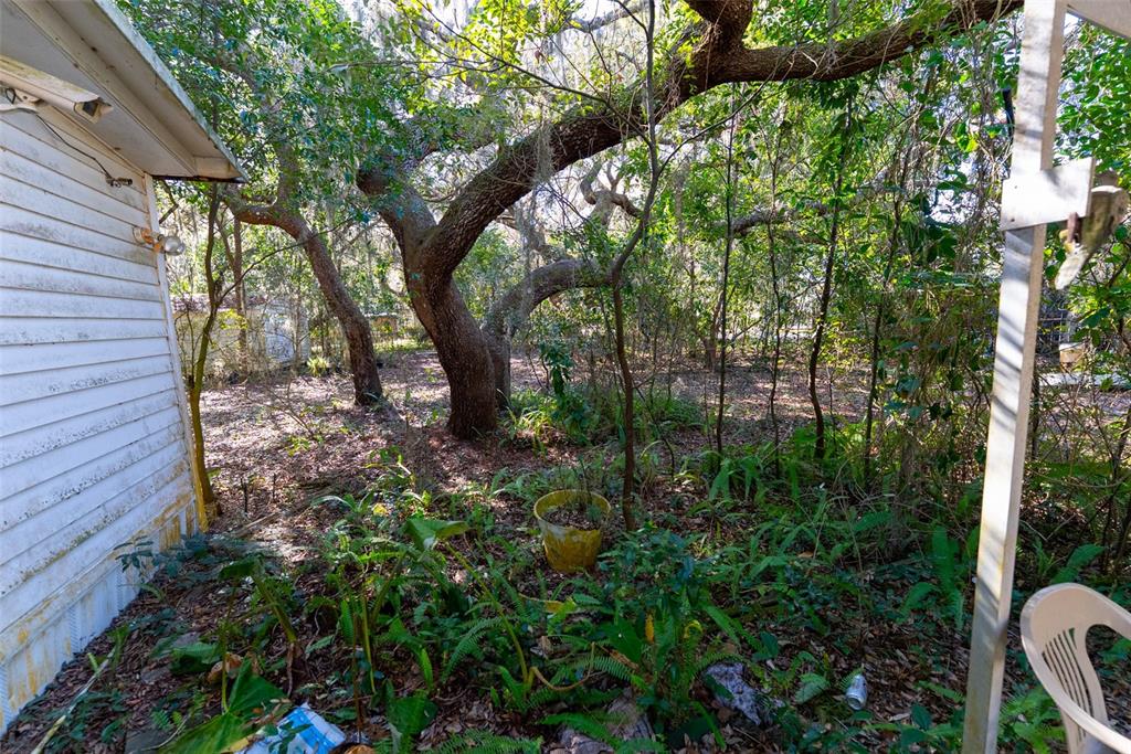 24971 Northeast 135th Street Salt Springs, FL 32134 - Photo 30 of 49 a view of backyard with green space