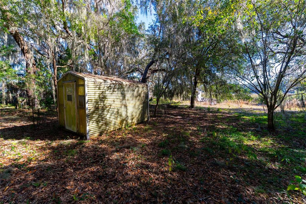 24971 Northeast 135th Street Salt Springs, FL 32134 - Photo 3 of 49 a view of outdoor space with trees