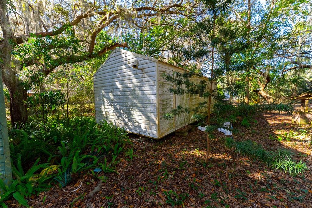 24971 Northeast 135th Street Salt Springs, FL 32134 - Photo 4 of 49 a view of yard plants and large trees