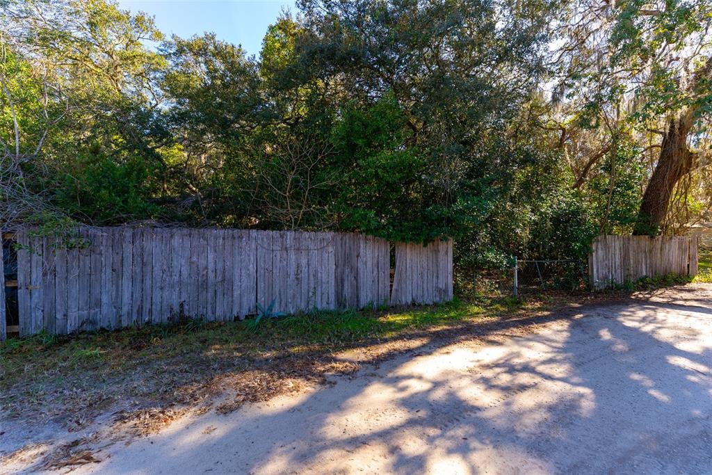 24971 Northeast 135th Street Salt Springs, FL 32134 - Photo 45 of 49 a view of backyard with tree