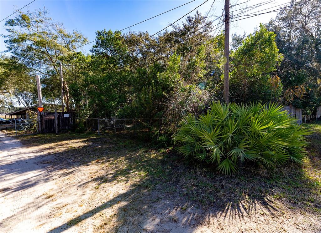 24971 Northeast 135th Street Salt Springs, FL 32134 - Photo 46 of 49 a view of a yard with plants and trees