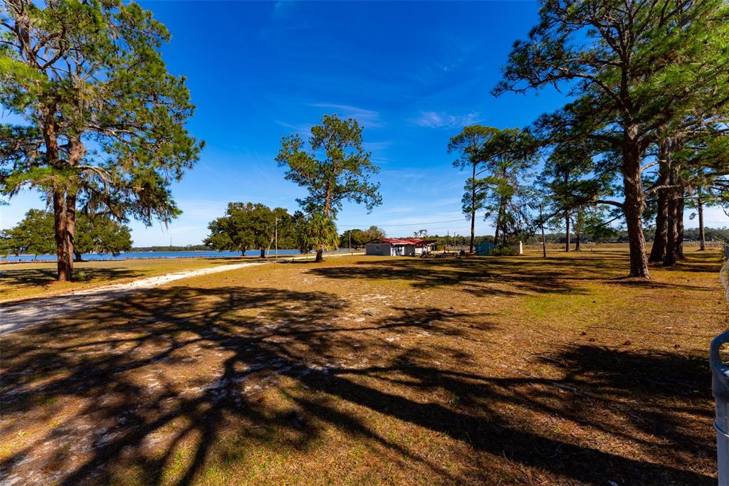 24971 Northeast 135th Street Salt Springs, FL 32134 - Photo 48 of 49 a view of a yard with an outdoor space