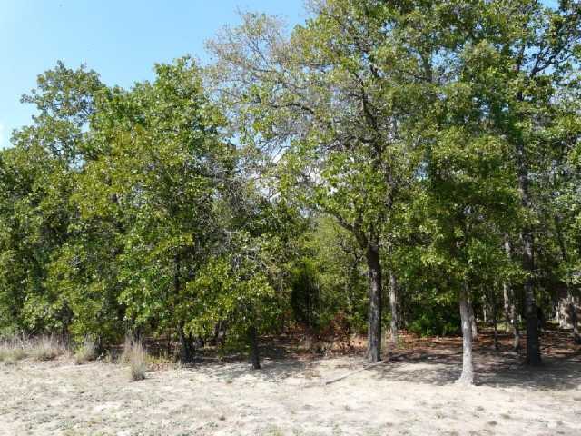 119 Pin Oak Crossing Elgin, TX 78621 - Photo 1 of 1 Gallery Image 1