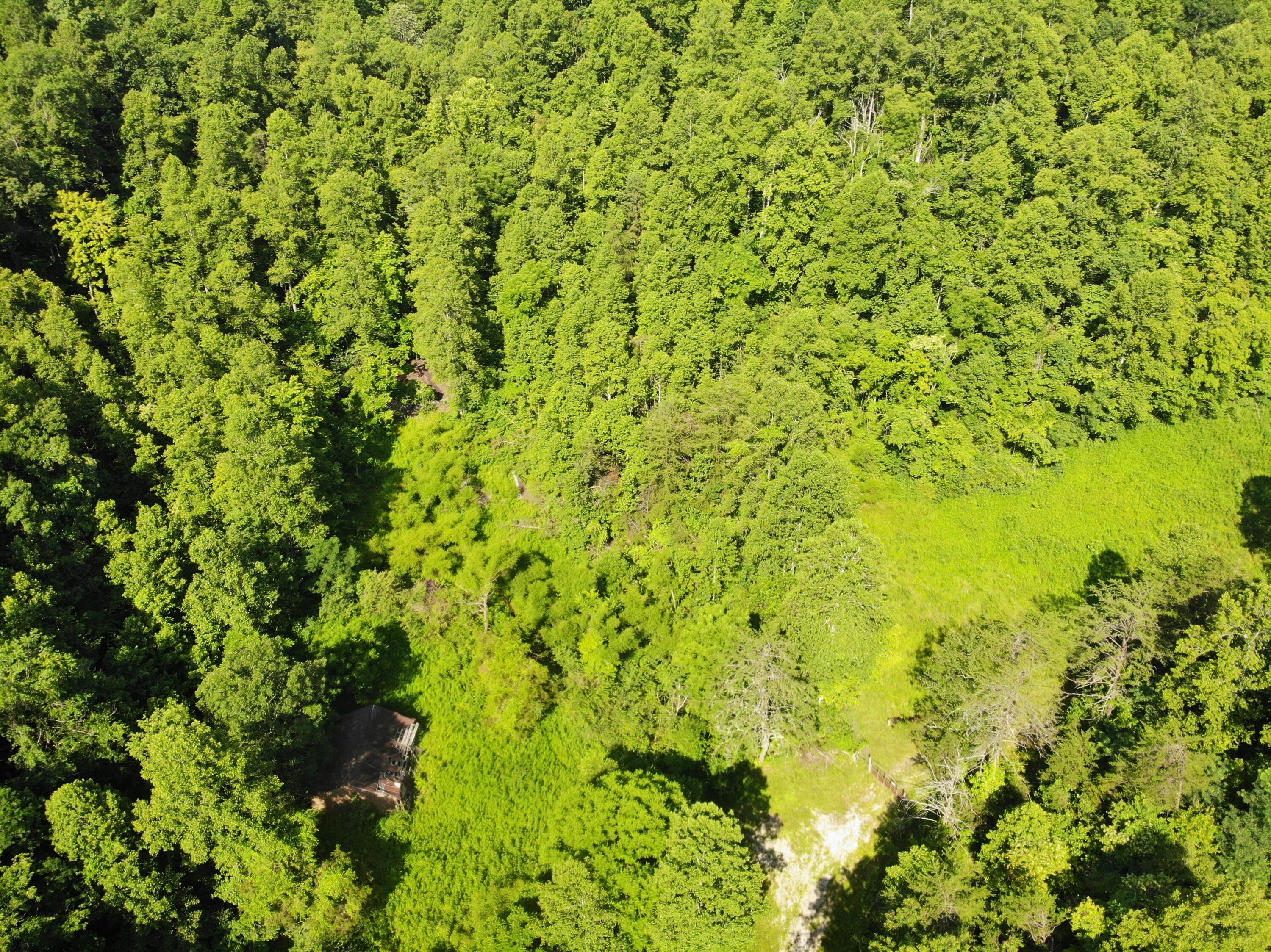 768 Clinton Stiltner Road Frenchburg, KY 40322 - Photo 3 of 19 DJI_0116