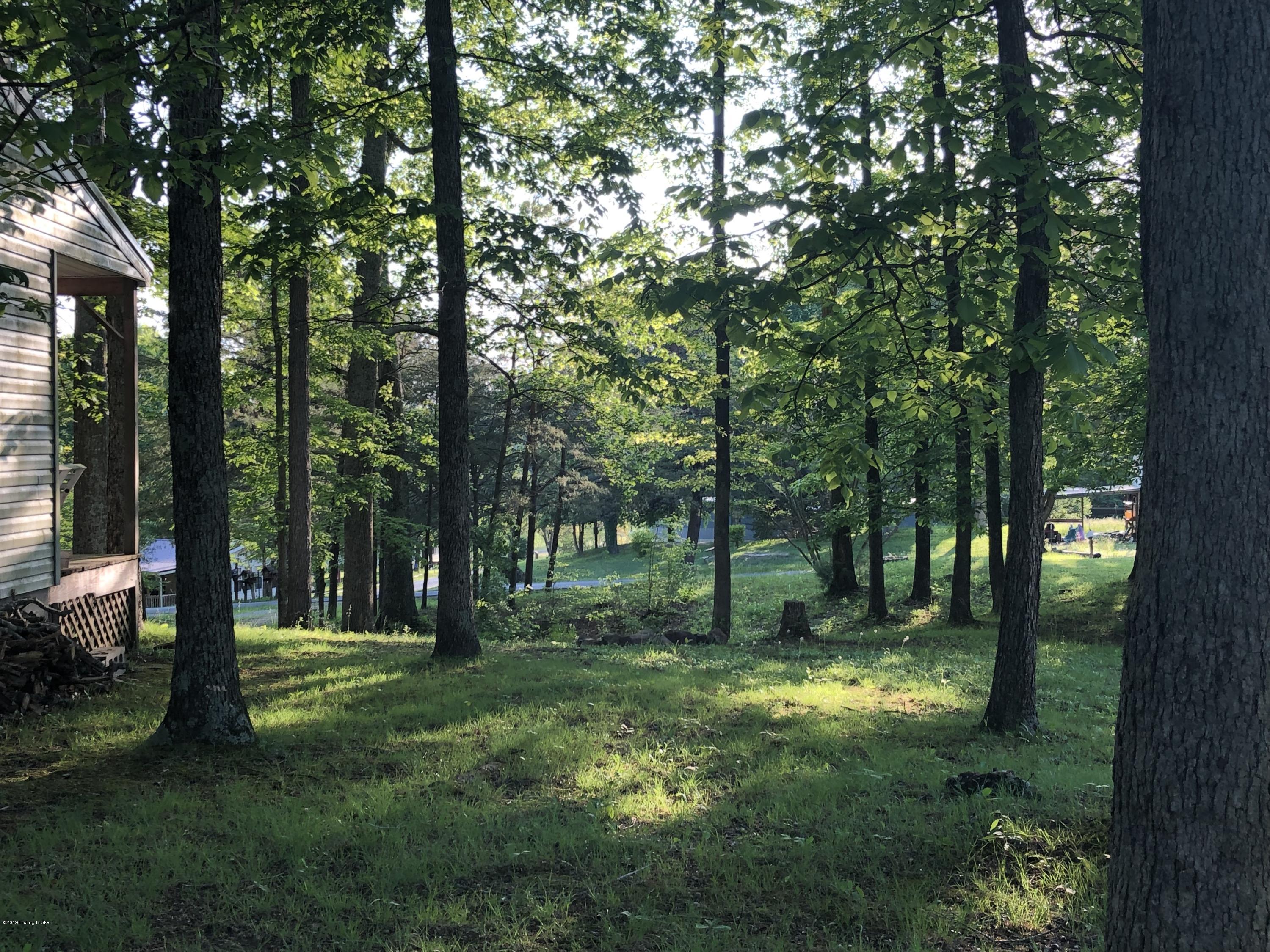 3176 Broad Ford Road Clarkson, KY 42726 - Photo 17 of 36 image00019