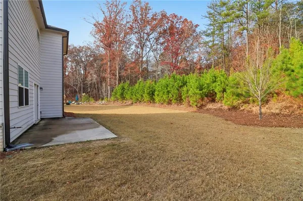 a view of a yard with plants and trees